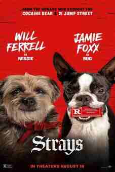 Strays 2023 latest